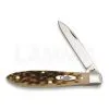 Case Cutlery Teardrop Jack Amber Bone Pocket Knife 246 -Knife maintenance shop 22908 CA246 01