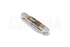 Case Cutlery Canoe Amber Bone Pocket Knife 00263 -Knife maintenance shop 2322 CA00263 03