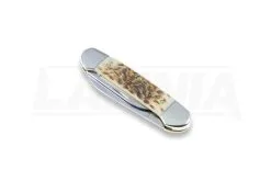Case Cutlery Canoe Amber Bone Pocket Knife 00263 -Knife maintenance shop 2322 CA00263 04