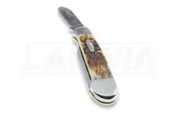 Case Cutlery Canoe Amber Bone Pocket Knife 00263 -Knife maintenance shop 2322 CA00263 06